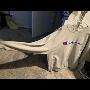 Men’s Gray Champion Sweater